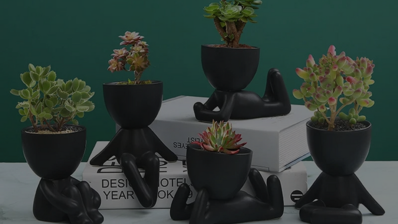 Add a Touch of History with Ceramic Black Figure Pots!