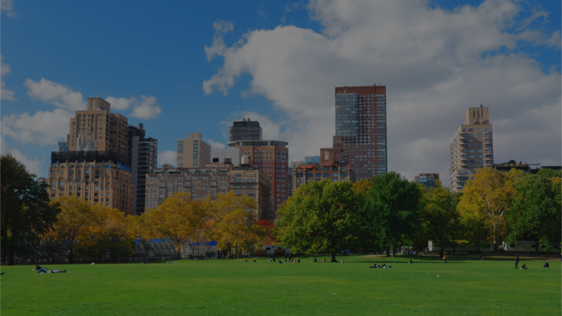 A Green Phoenix Rising: New York City