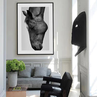 Black and White Horse Canvas Wall Prints