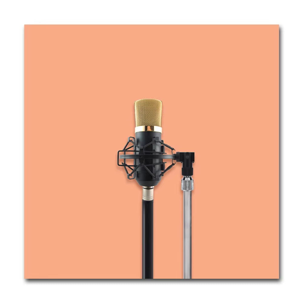 Colorful Microphone & Headphone Wall Prints