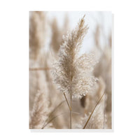 Modern Wild Nature Landscape Wall Prints