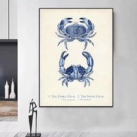 Vintage Sea Life Wall Print