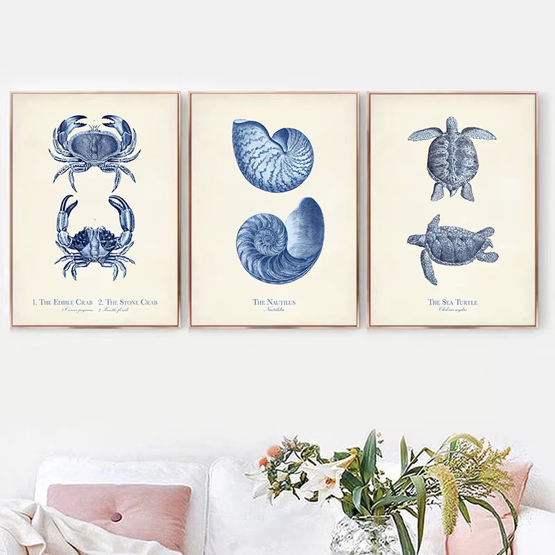 Vintage Sea Life Wall Print