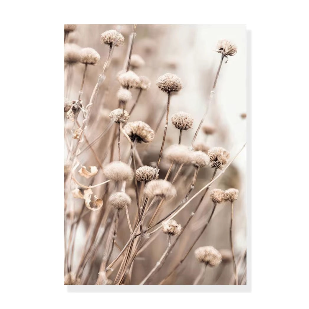 Modern Wild Nature Landscape Wall Prints