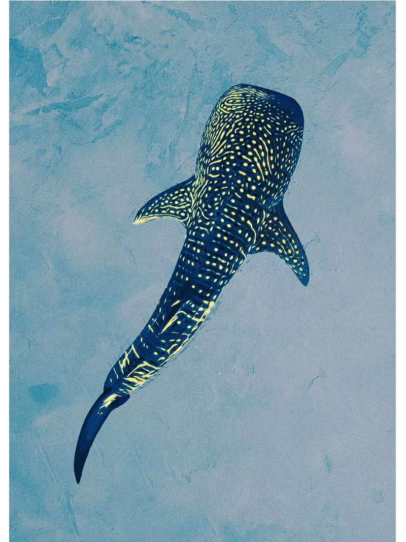 Marine Wildlife Wall Print