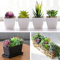 16-Piece Artificial Succulent Collection