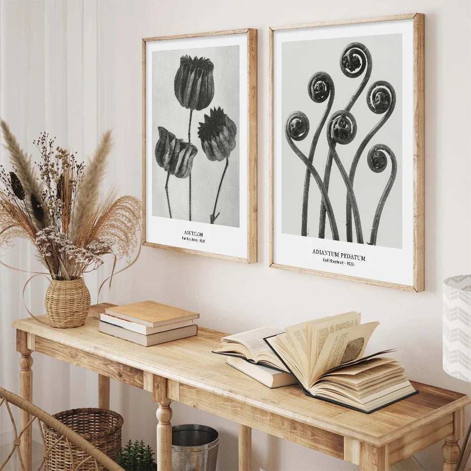 Botanical Black & White Vintage Canvas Wall Prints