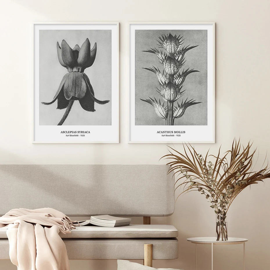 Botanical Black & White Vintage Canvas Wall Prints