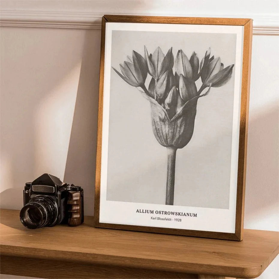 Botanical Black & White Vintage Canvas Wall Prints