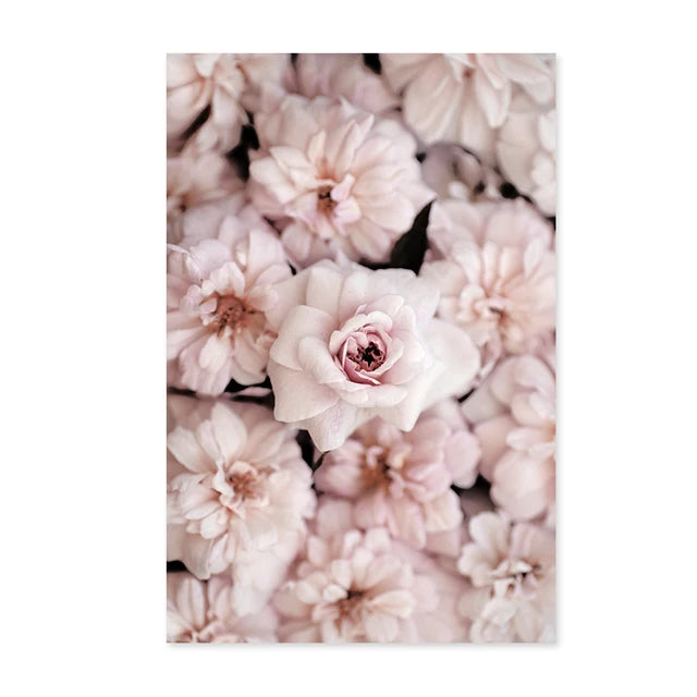 Pink Peonies Canvas Wall Prints