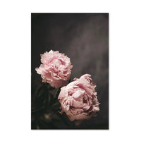 Pink Peonies Canvas Wall Prints