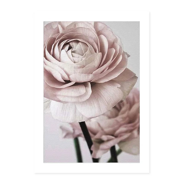 Pink Peonies Canvas Wall Prints