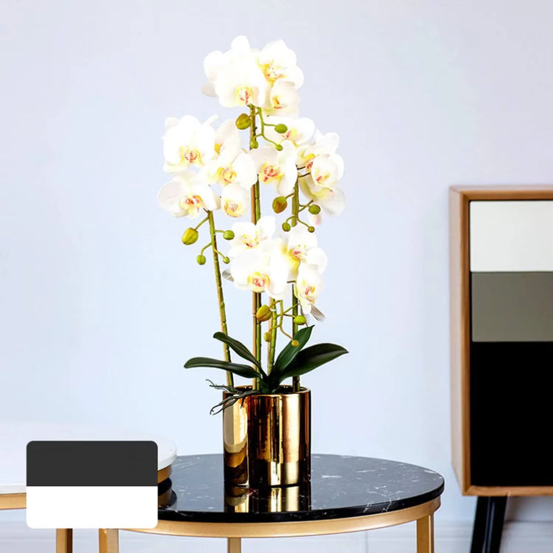 2-Piece White Orchid Flower Set