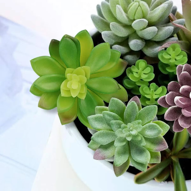 16-Piece Artificial Succulent Collection